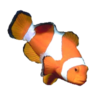 Snippets Of JavaScript